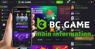 Unleashing Fun and Fortune Dive into BC.Game Online Platform