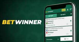 BetWinner The Ultimate Online Gambling Platform for Enthusiasts