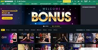 Understanding the Privacy Policy of BetWinner Ivory Understanding the Privacy Policy of BetWinner Ivory