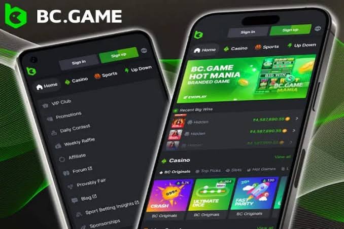 Understanding the BC.Game Mirror Login Process 844792380