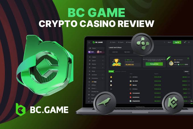 Step-by-Step Guide to Registering on BC.Game -237291854